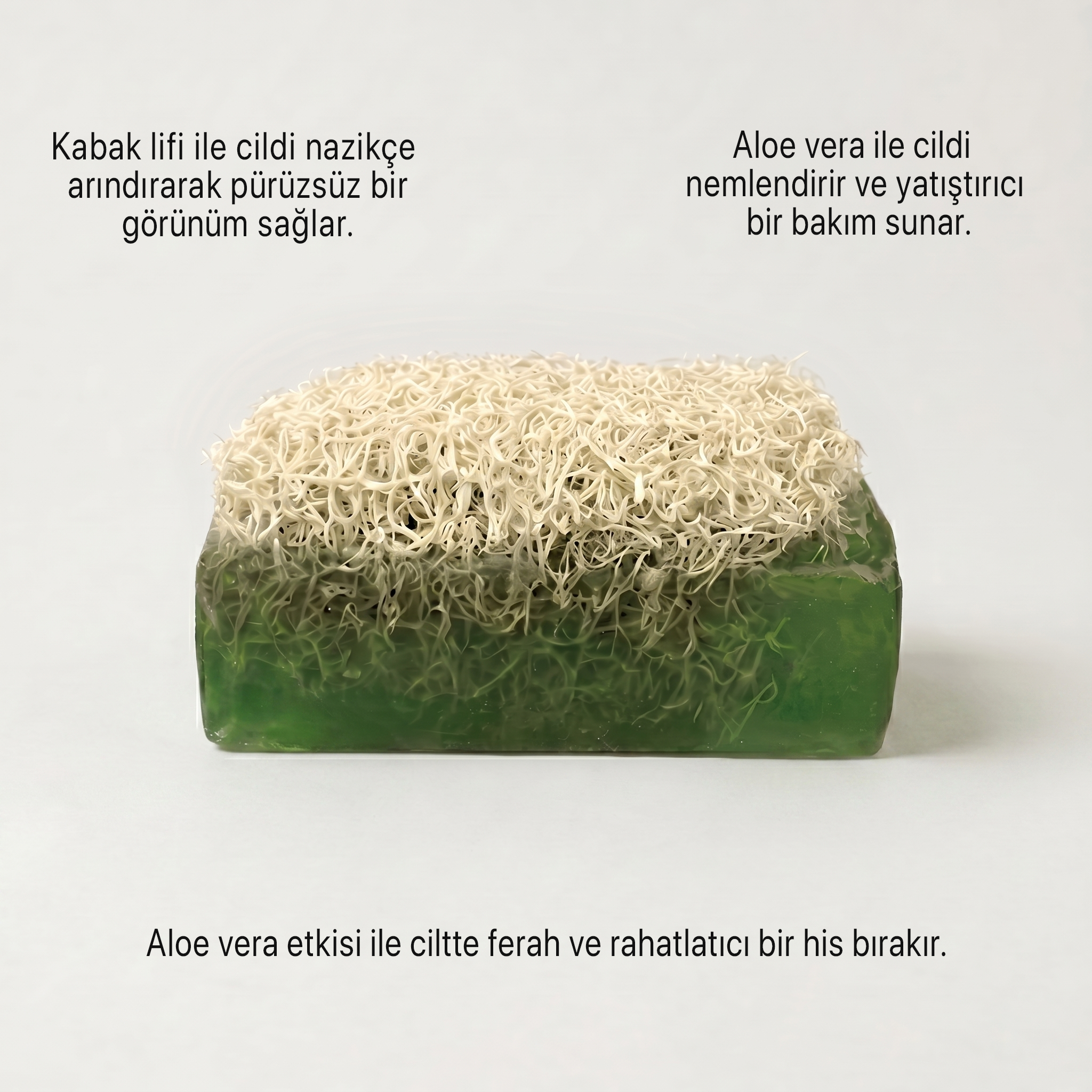 Argentum Natural Aloe Vera Kabak Lifli Sabun - Görsel 3