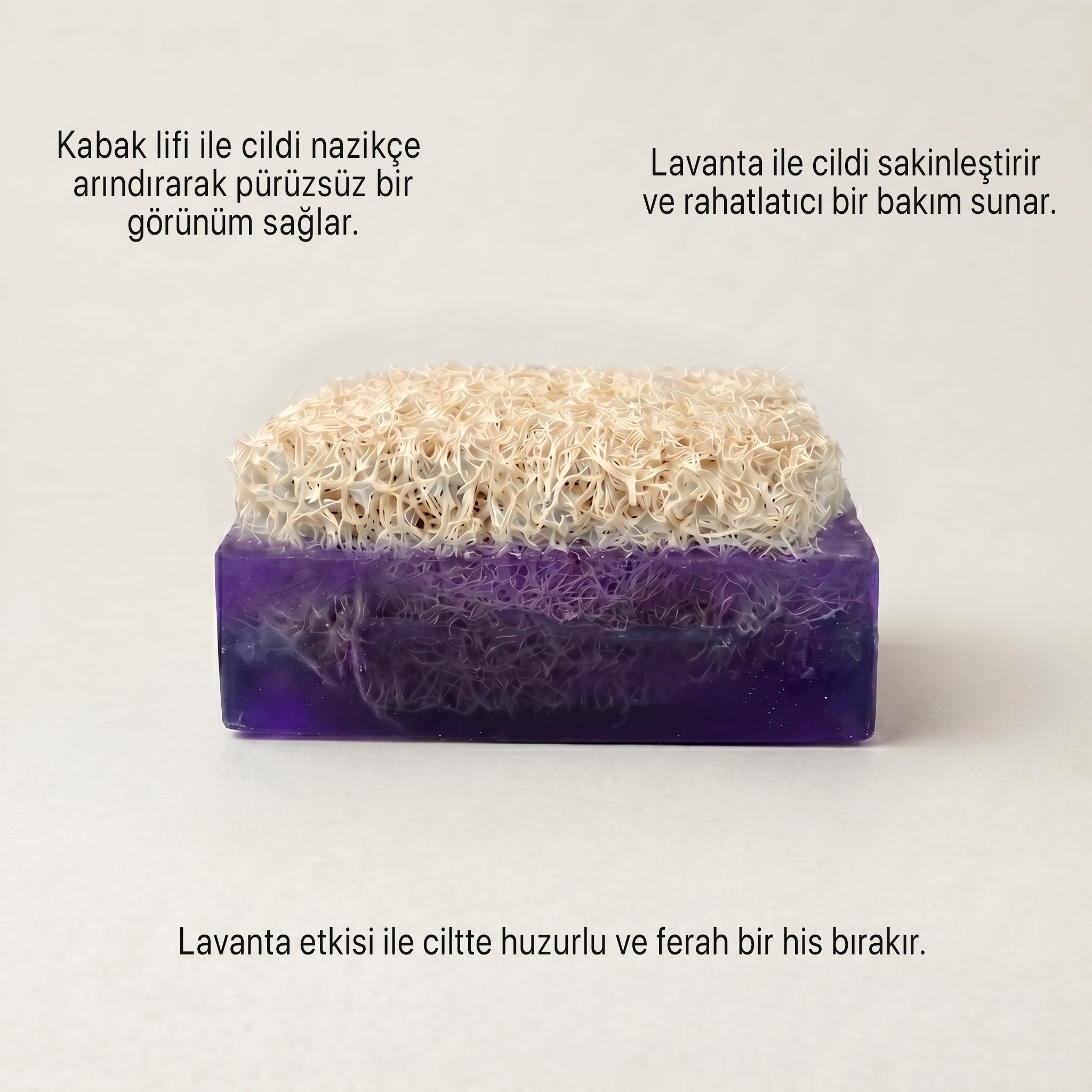 Argentum Natural Lavanta Kabak Lifli Sabun - Görsel 3